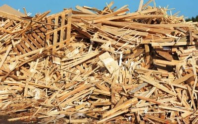 The Process of Recycling Timber: From Salvage to Stunning Creations