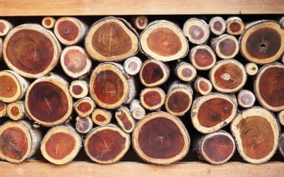 Wooden Wonders: Exploring the Versatility of Tasmanian Oak, Treated Pine, and White Oak