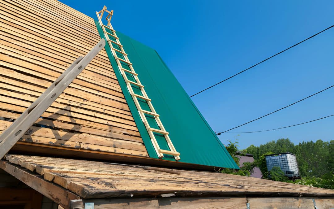 Home Renovation Essentials: Timber Cladding, Treated Pine Restoration, and Weatherboard Upgrades