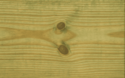 The Ultimate Guide to Treated Pine: Uses, Benefits, and Lifespan